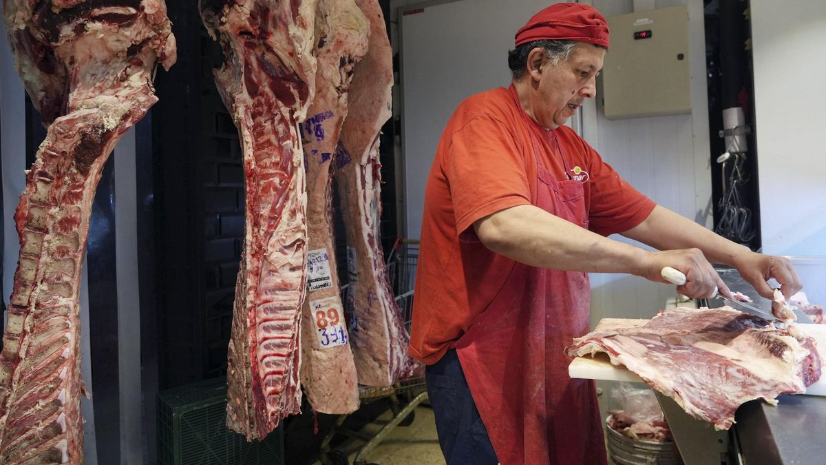 El precio de la carne aumentó 4,5% en noviembre de 2025.