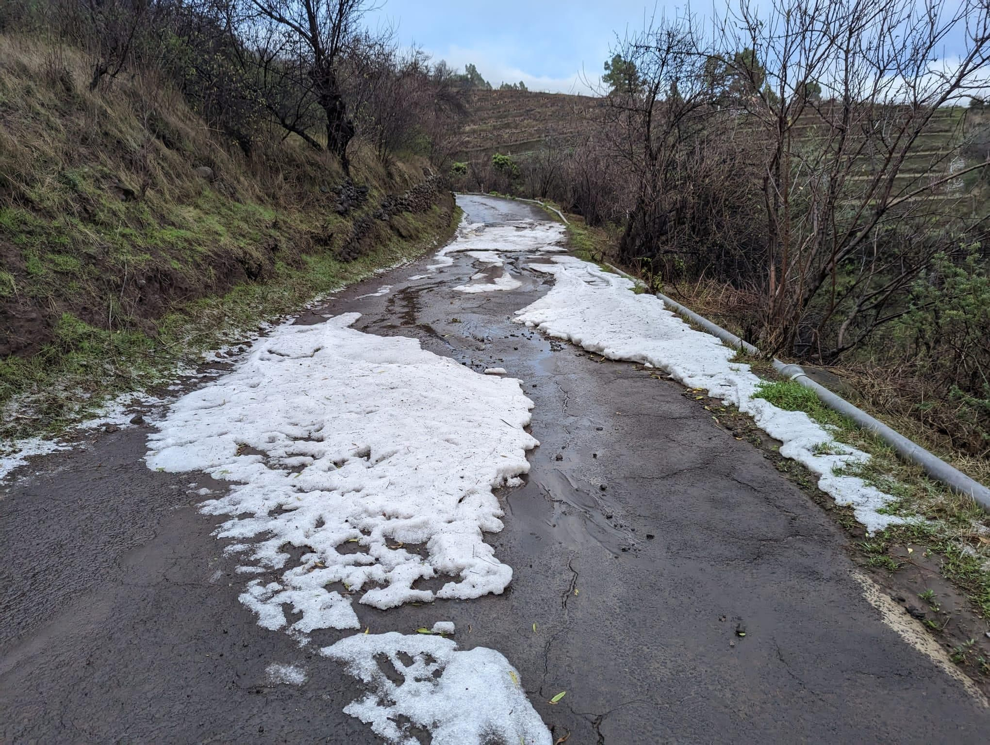 Nieve en  La Cruz de La Traviesa, en Puntagorda, a unos 1300 metros, este lunes.