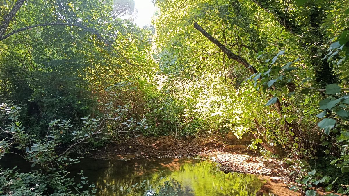 Bejarano, en el corazón de Sierra Morena.