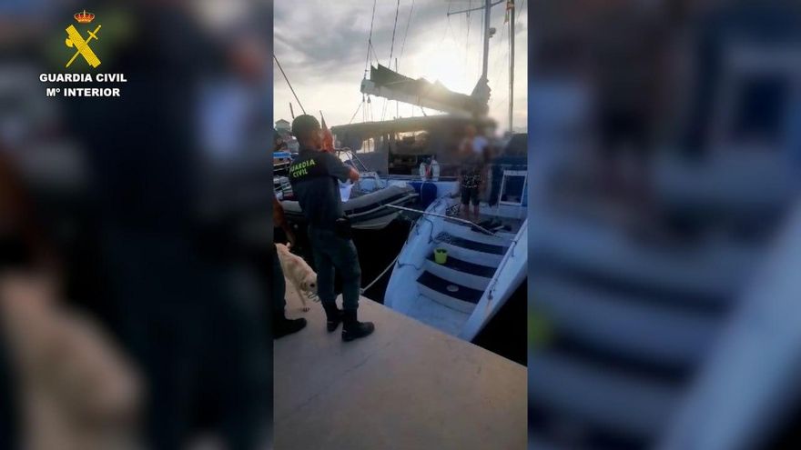 La Guardia Civil identifica en Almería a los tripulantes de la embarcación que disparó a una orca en el Estrecho