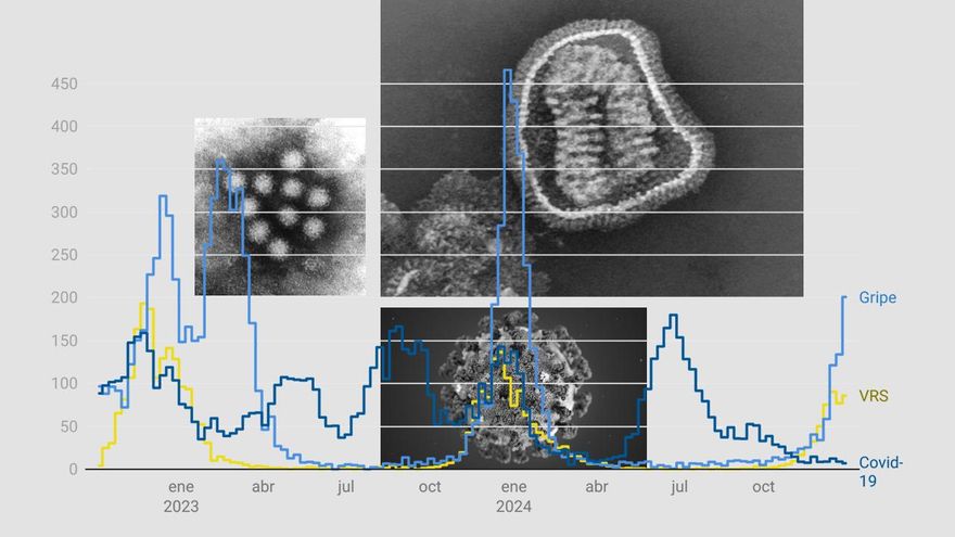 Guía para entender los virus este invierno: la gripe sigue subiendo, hay mucho norovirus y la covid-19 está en mínimos