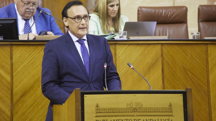 El consejero de Universidad, Investigación e Innovación, José Carlos Gómez Villamandos. En el Pleno del Parlamento andaluz.