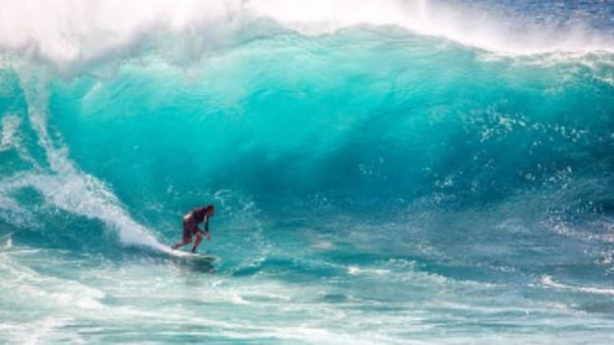 Este año el Foro de Economía Azul se centra en la industria del surf