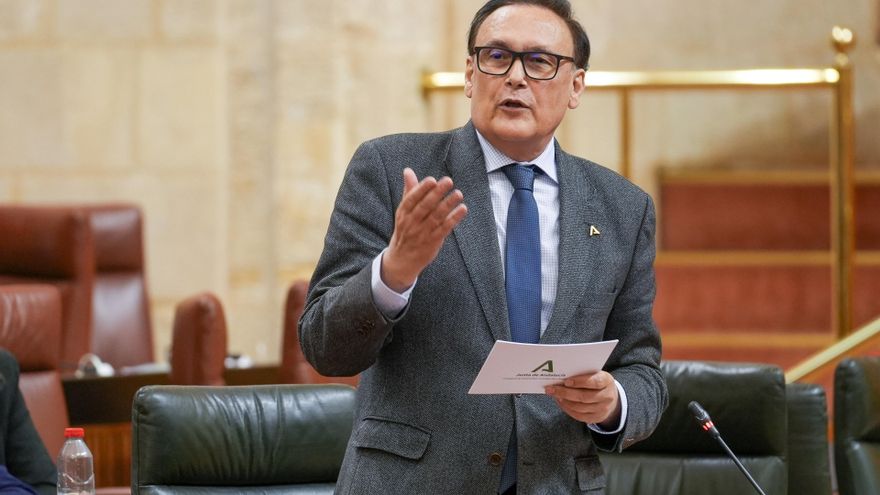 El consejero de Universidad, José Carlos Gómez Villamandos, en un Pleno del Parlamento andaluz.