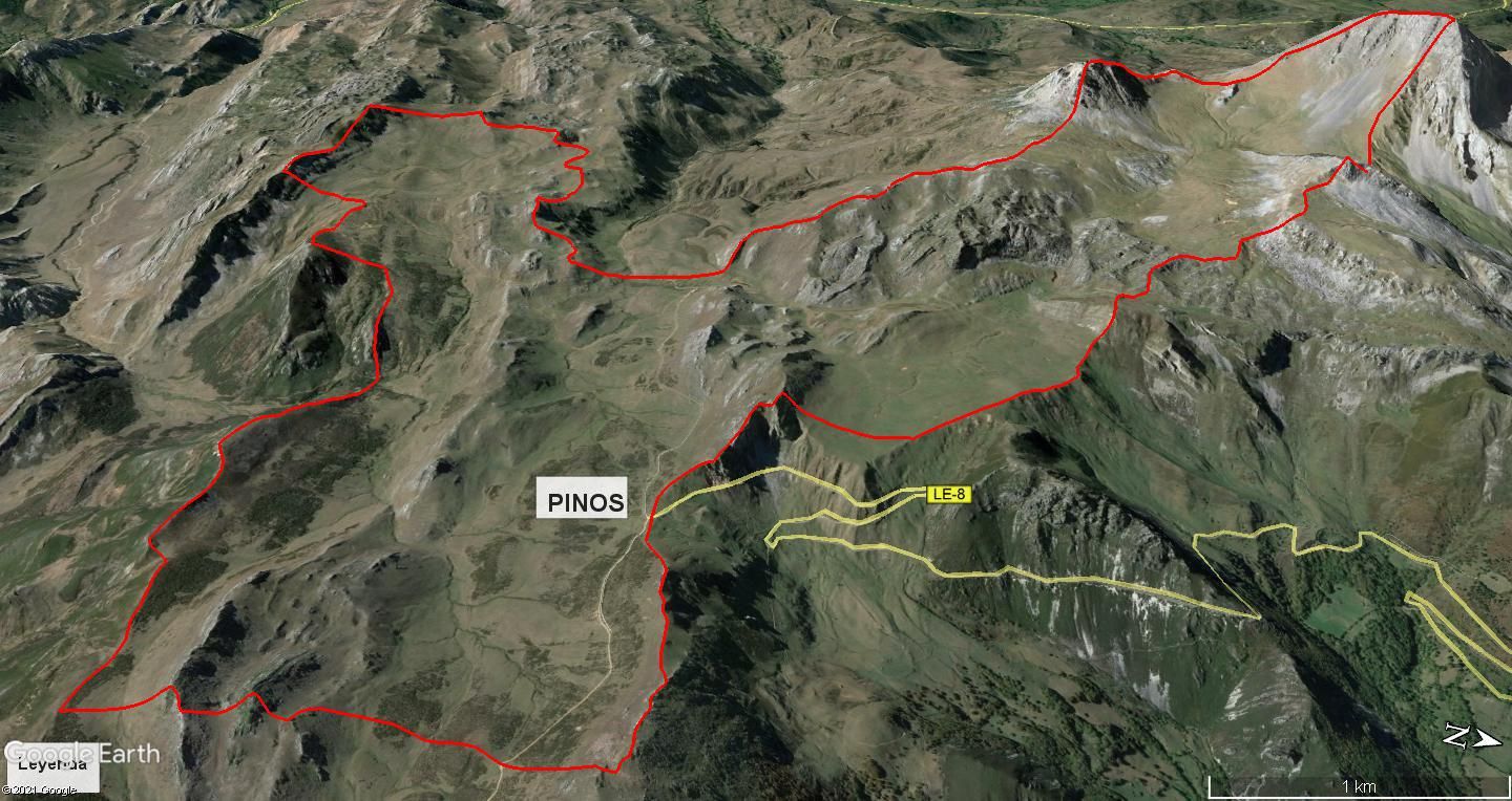 Dimensión y distribución de los puertos de montaña que conforman Pinos, en el municipio de San Emiliano.