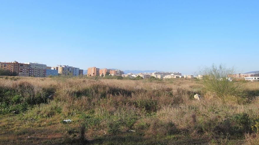 La victoria (cautelar) de la plataforma malagueña que quiere un bosque urbano donde el ayuntamiento proyecta rascacielos