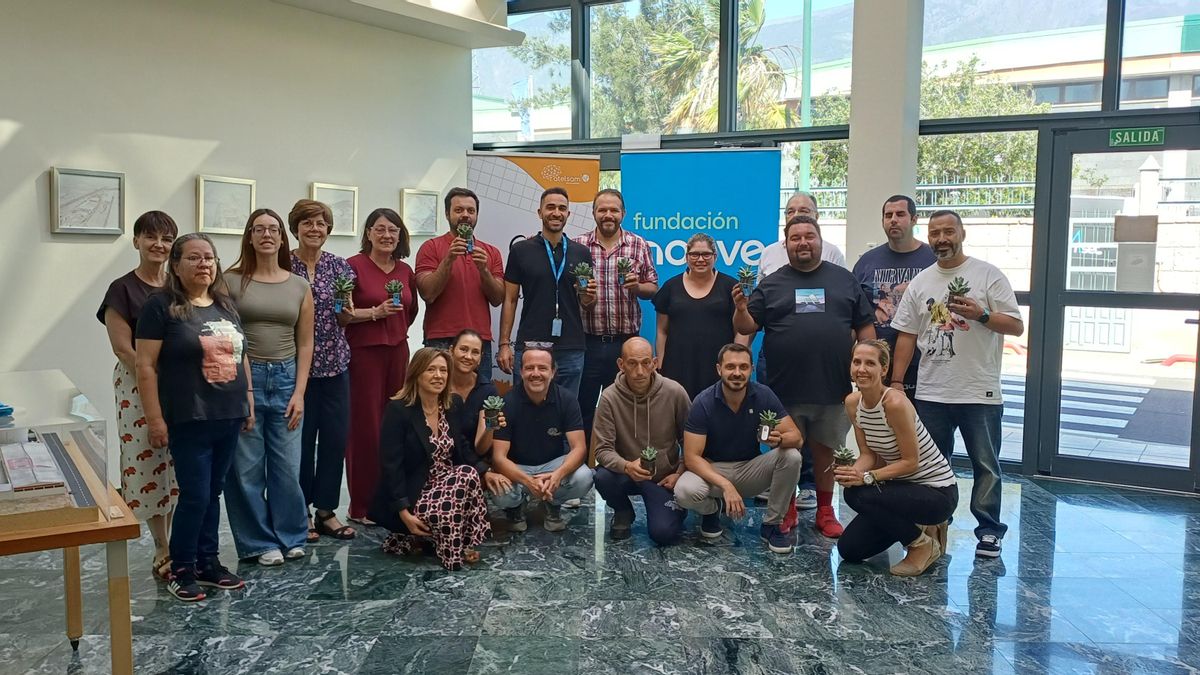 La Semana del Voluntariado de Fundación Moeve moviliza a 50 profesionales de la compañía en Canarias