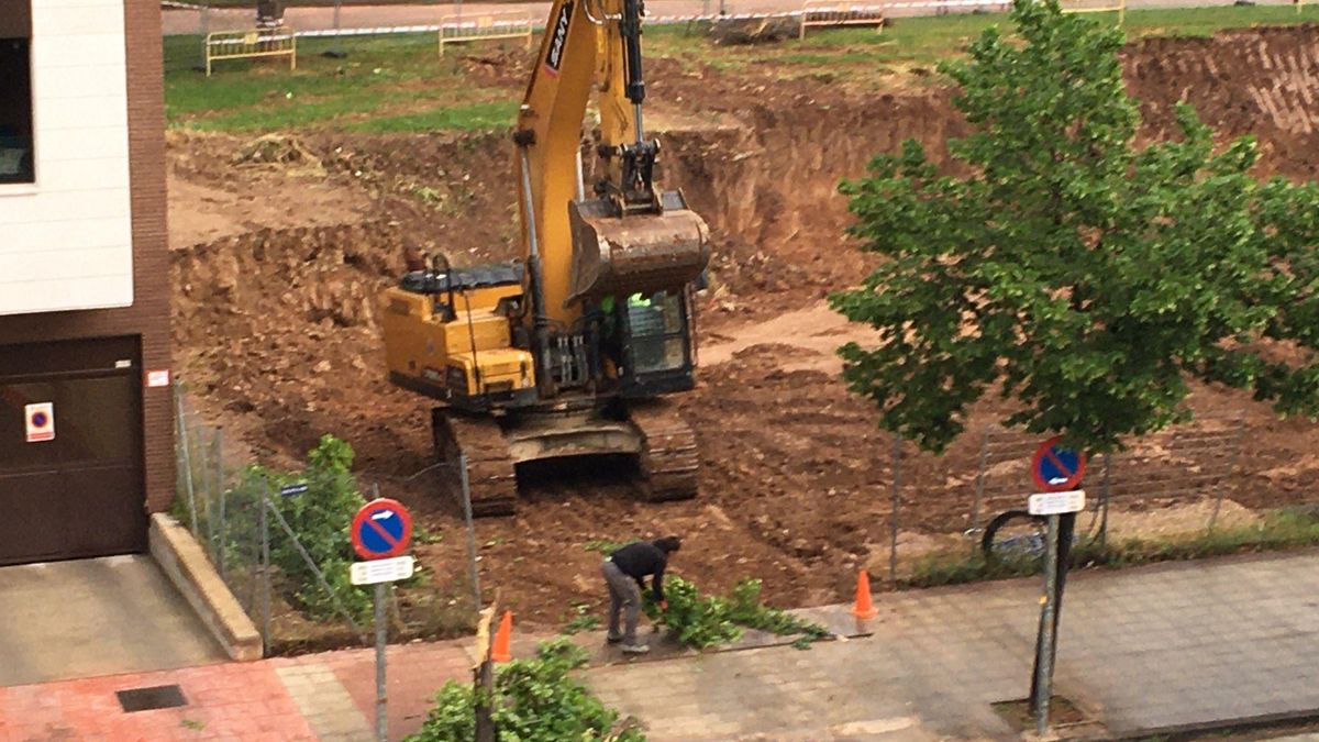 Logroño sancionará a una constructora por arrancar árboles: "Tenía permiso para eliminar 5 a cambio de plantar 27 en la ciudad"