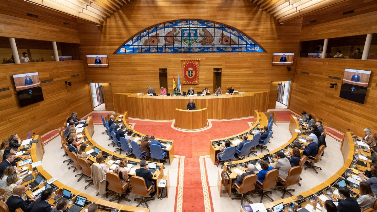 El PP rechaza que el Parlamento gallego condene el genocidio en Palestina