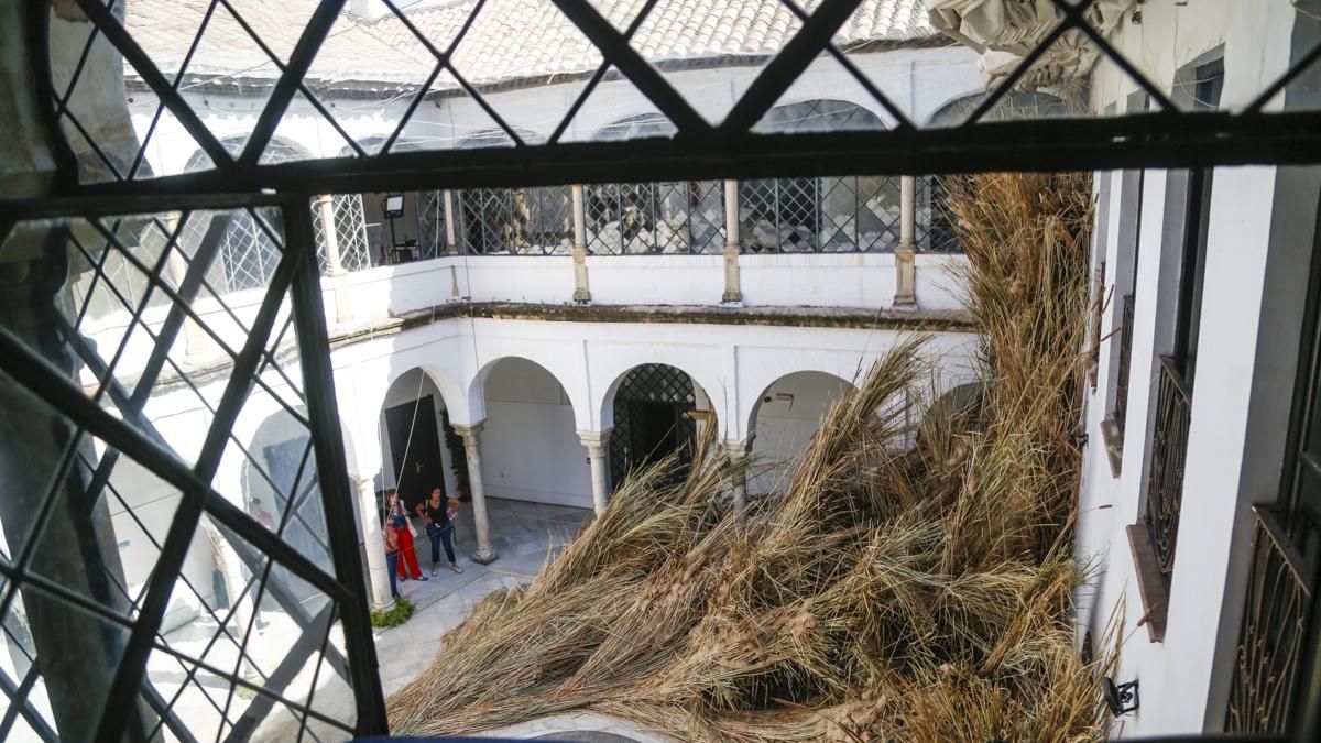 FLORA 2026 - Mas Rasa (Palacio de Orive)