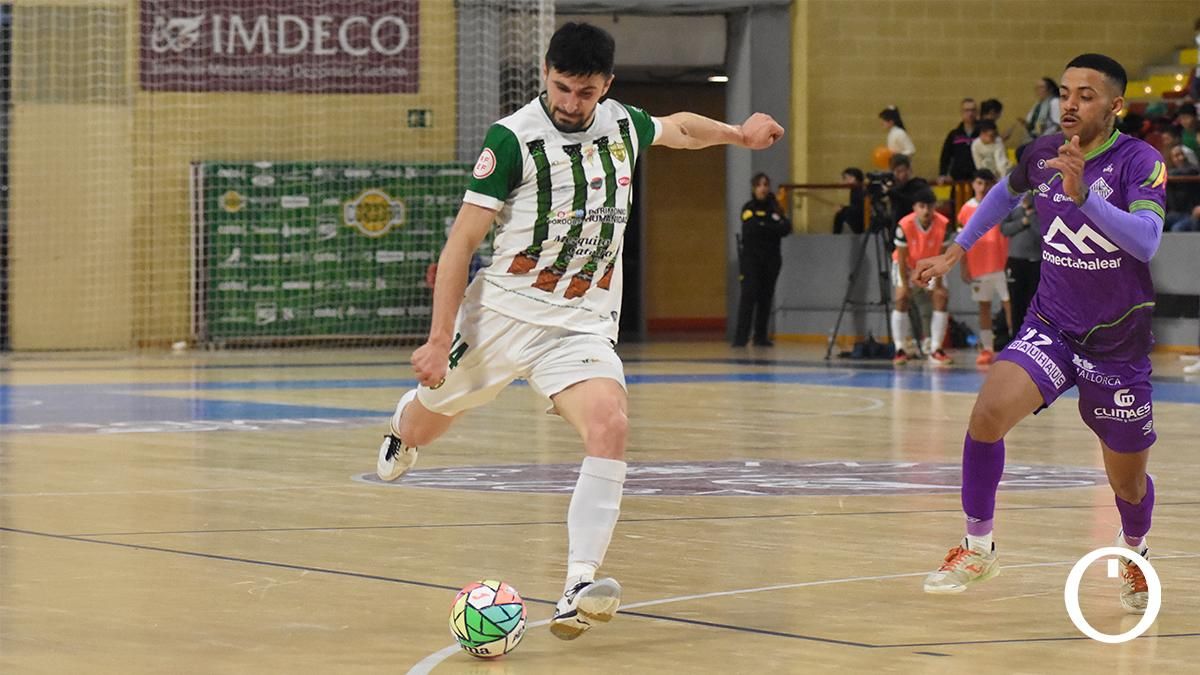 Las imágenes del Córdoba Patrimonio - Palma Futsal