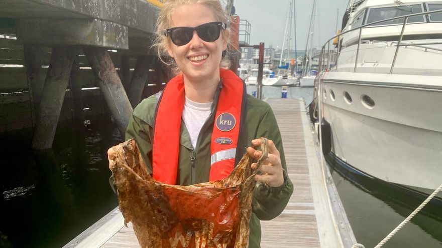 Esta investigadora metió hace seis años una bolsa biodegradable en el mar y sigue intacta