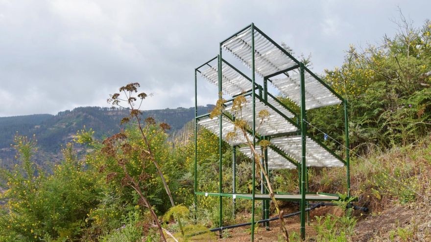 Canarias presenta en EEUU sus sistemas de captación del agua de niebla