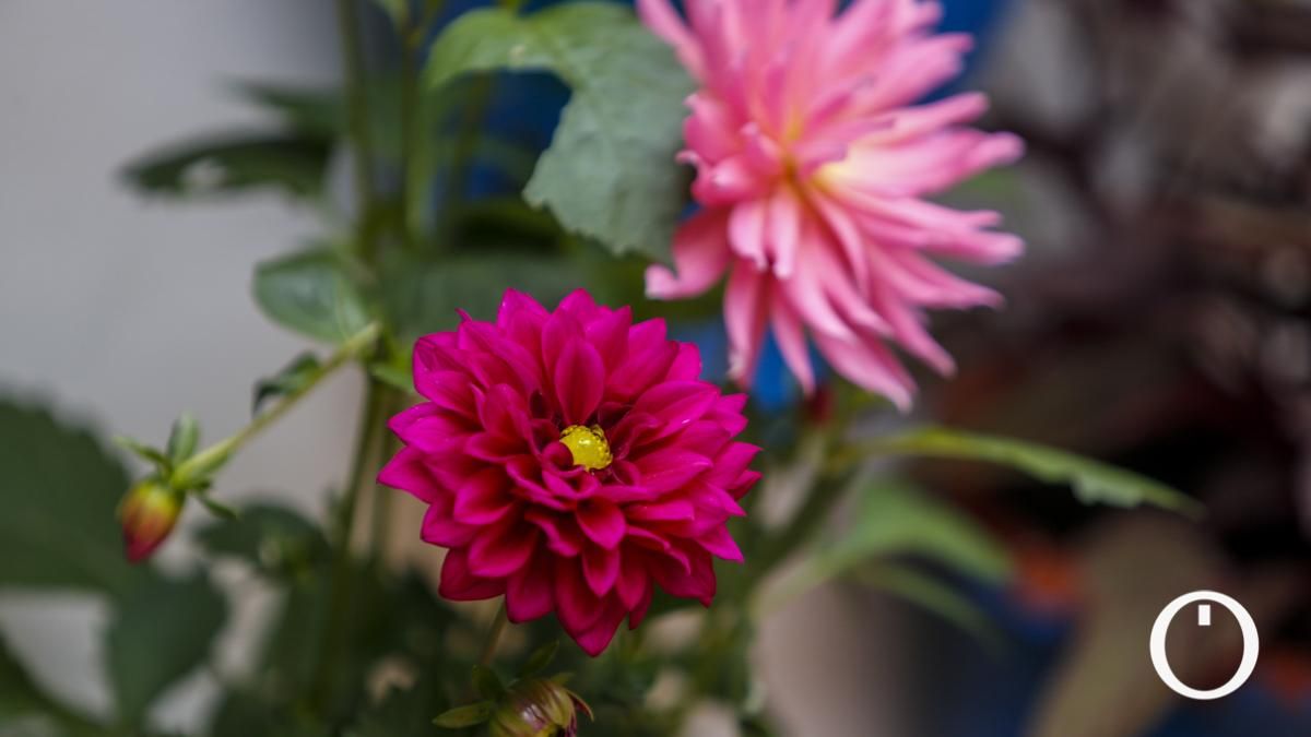 Patio en la C/ Tinte, 9