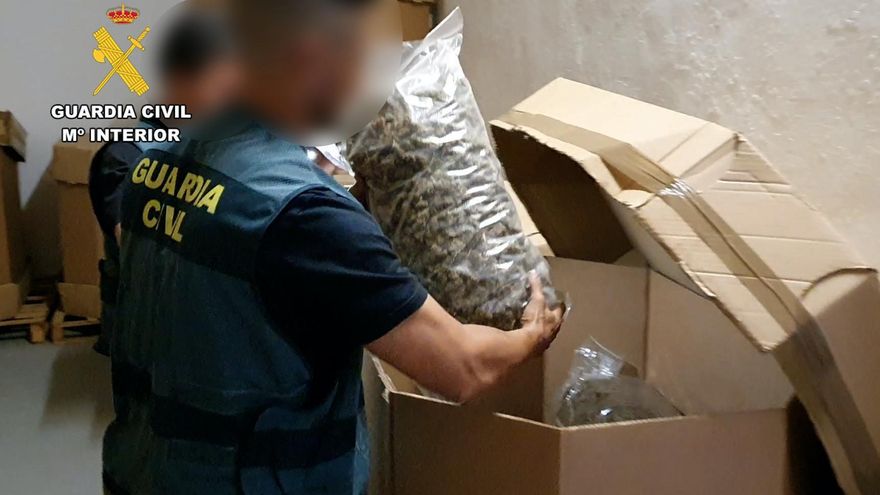 El "mayor alijo de marihuana" o mero cáñamo: la operación de la Guardia Civil que muestra la confusión sobre el CBD