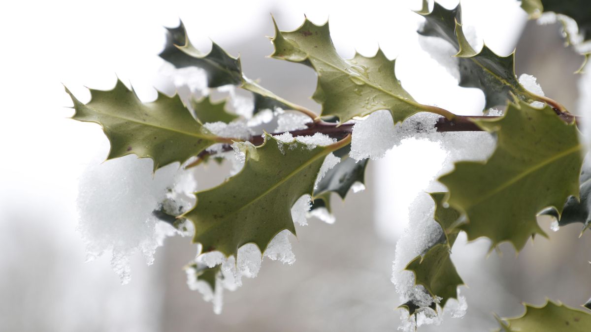 El solsticio de diciembre y otros fenómenos en los cielos de invierno