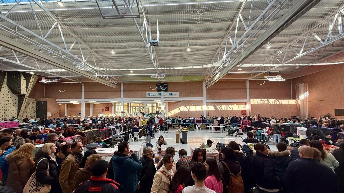 Exposición Felina Internacional en San Andrés del Rabanedo. 