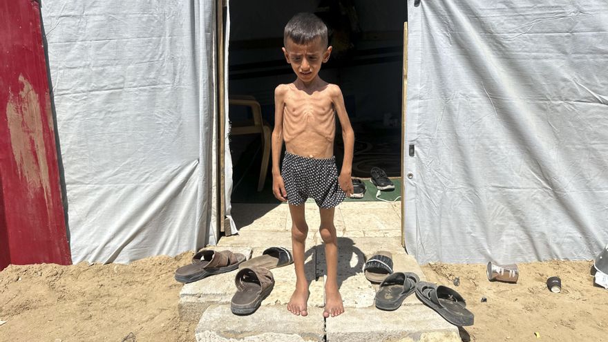 ¿Qué hacer por Palestina?