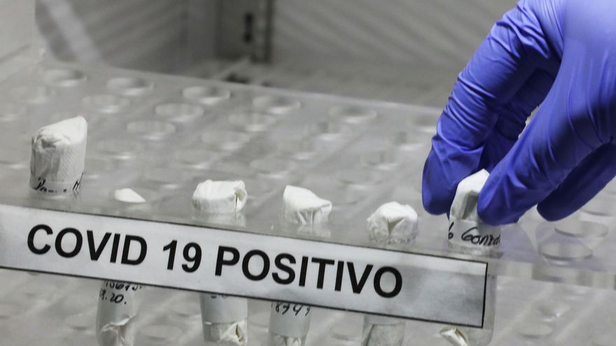La Dirección General de Salud Pública de la Comunidad de Madrid ha notificado este martes al Ministerio de Sanidad dos nuevos brotes de COVID-19. EFE/ Carlos Ortega/Archivo