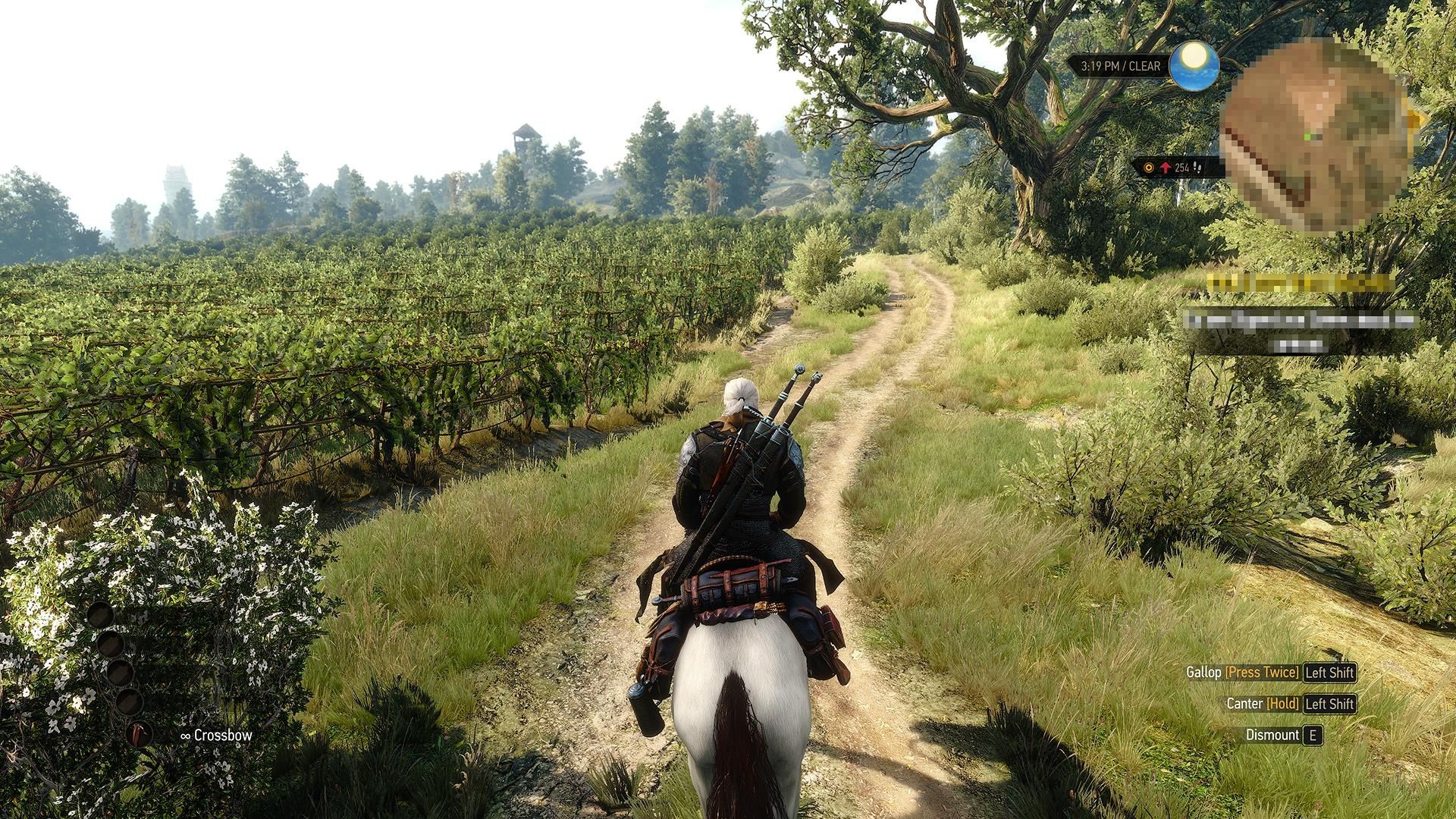 The Witcher 3 Wild Hunt Hearts of Stone,
