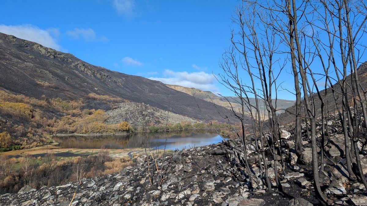 El valle y el Lago de La Baña a los tres meses de los incendios