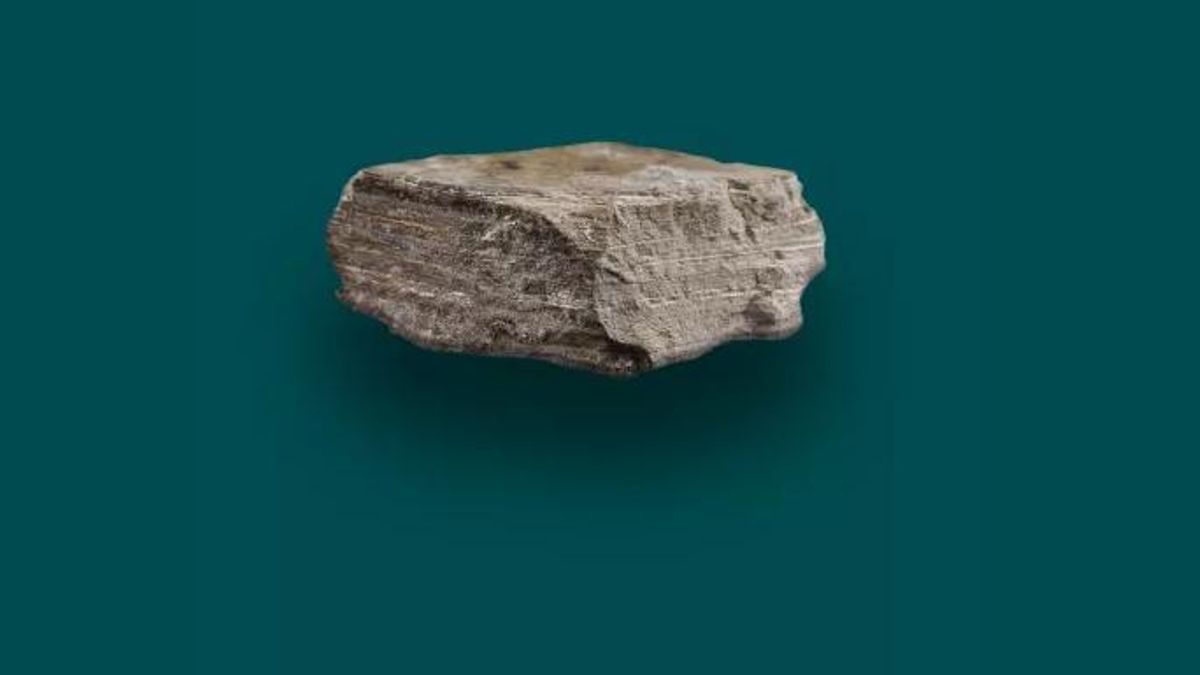 La diatomita es una roca sedimentaria compuesta por los restos fosilizados del esqueleto de algas acuáticas unicelulares conocidas como diatomeas