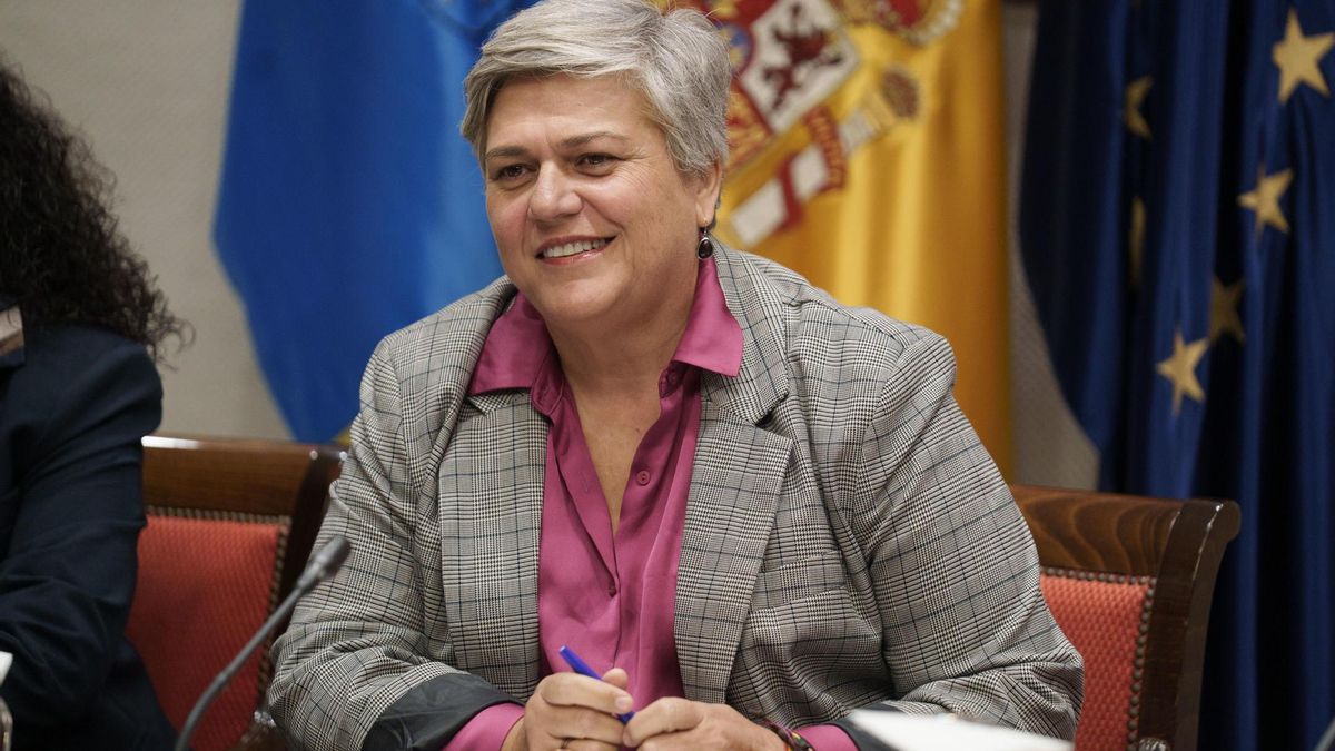 La comisionada de Transparencia anuncia una ley propia que será independiente de la del Gobierno de Canarias