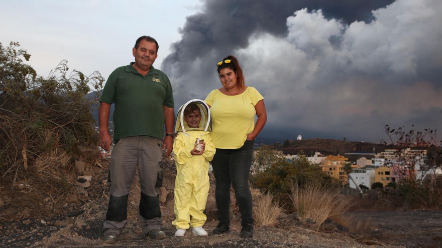 La ceniza del volcán deja sin flores a las abejas que dieron la mejor miel canaria