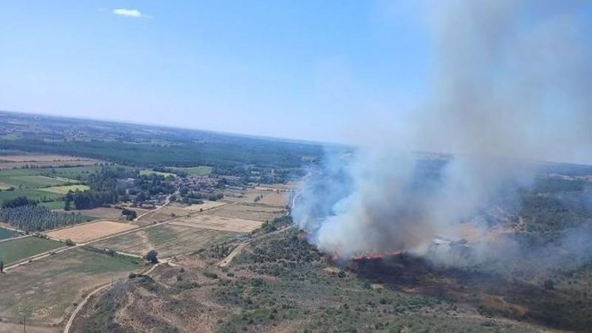 Un incendio en Cifuentes de Rueda moviliza a una treintena de medios y amenaza una importante masa arbolada