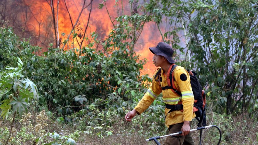 La Defensoría de Bolivia lamenta daño de 12,6 millones de hectáreas por incendios en 2024