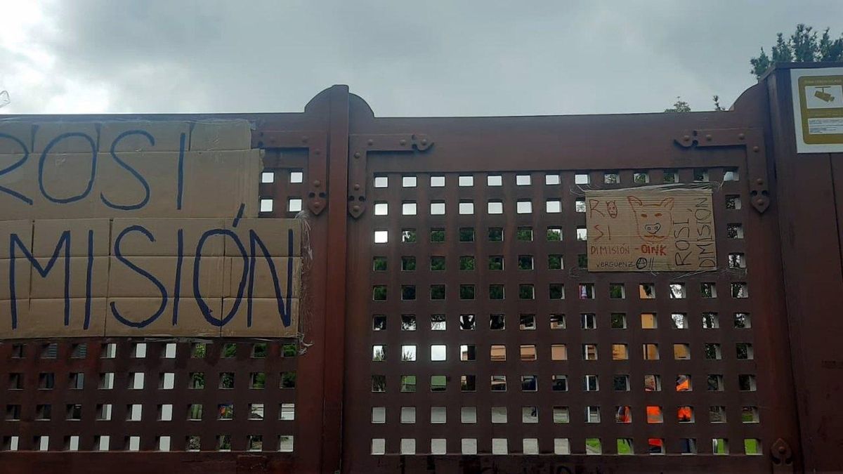El alumnado de la Universidad de La Laguna pide la dimisión de la rectora, Rosa Aguilar