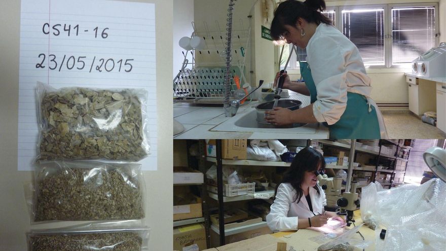 Ester Diaz durante el proceso de extracción de microfósiles