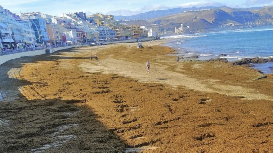 Las fuertes mareas cubren de seba la playa de Las Canteras
