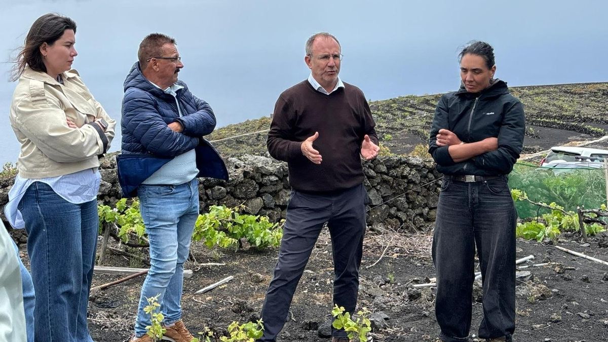 El Cabildo plantea decretar la emergencia cinegética para proteger las parras centenarias de Las Machuqueras