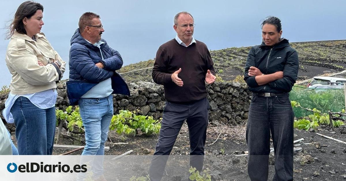 El Cabildo plantea decretar la emergencia cinegética para proteger las parras centenarias de Las Machuqueras