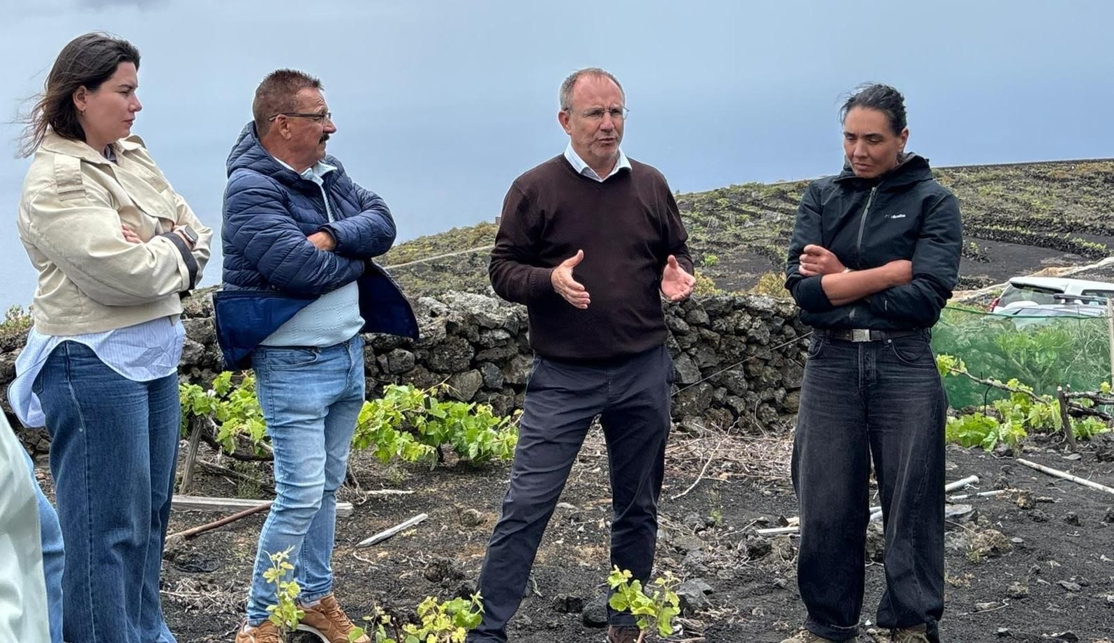 El Cabildo plantea decretar la emergencia cinegética para proteger las parras centenarias de Las Machuqueras.