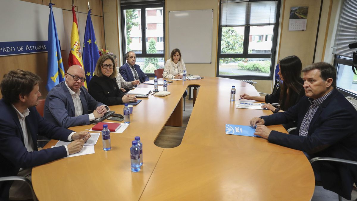 La consejera Lydia Espina, tercera por la izquierda, durante la reunión con representantes de ANPE. 