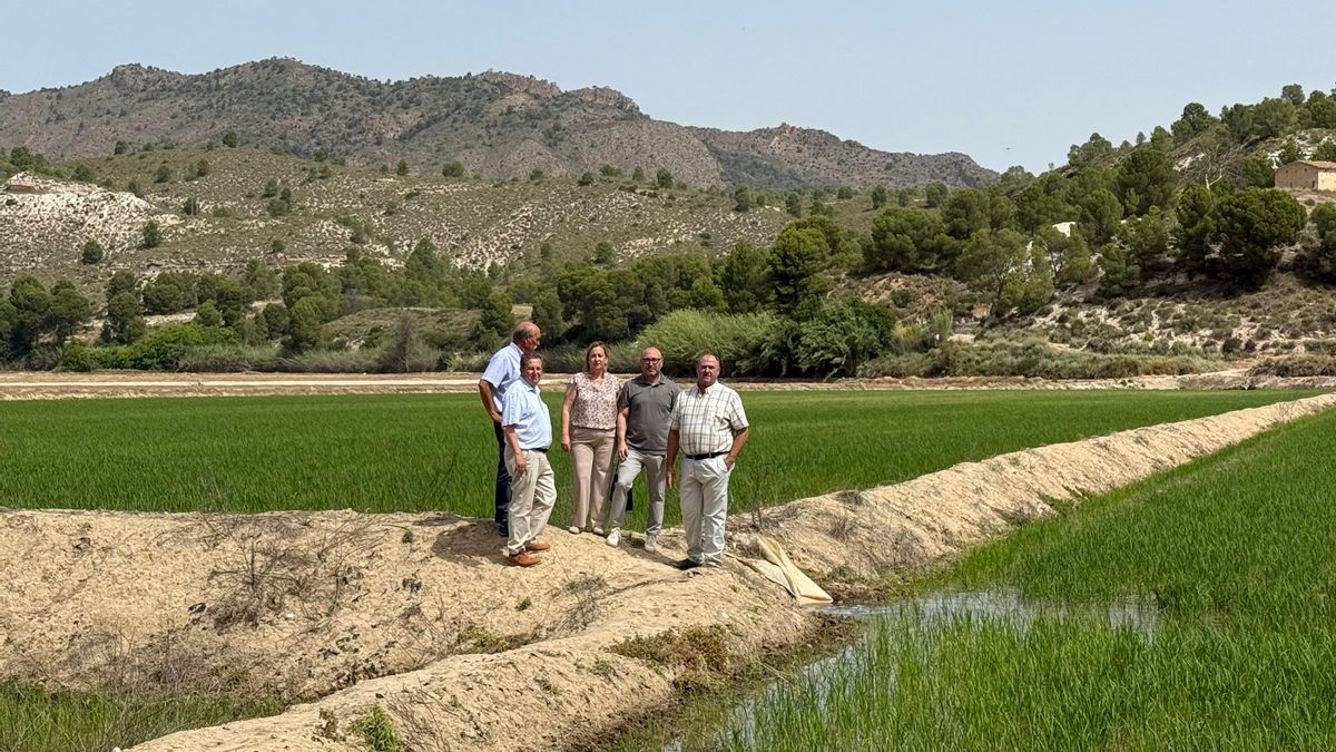 Castilla-La Mancha proyecta envasar el arroz con DO Calasparra que se produce en Hellín con la marca Campo y Alma
