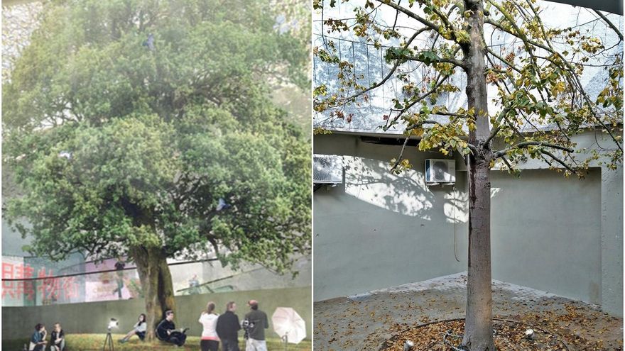 Recreaciones Plaza España - árbol subterráneo