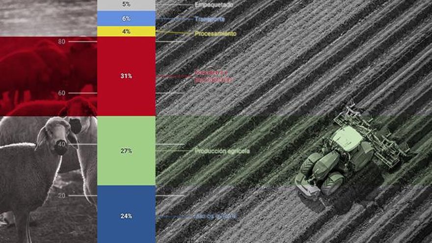 El reto de alimentar a 8.000 millones de personas: regenerar tierras, desperdiciar menos y comer insectos