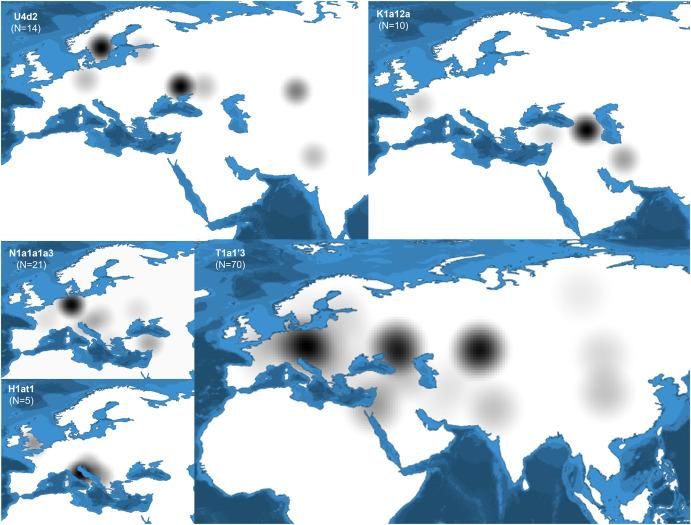 Los asentamientos íberos ofrecen un retrato genético estable pese a la llegada de influencias externas
