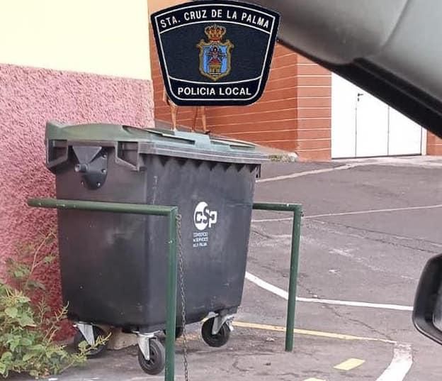 Contenedor de basura donde fueron tirados los mininos. Foto: POLICÍA LOCAL DE SANTA CRUZ DE LA PALMA