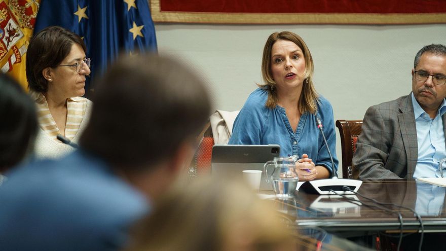 Noemí Santana critica el nombramiento de Conrado Domínguez al frente del SCS durante la pandemia: "Nunca nos gustó"