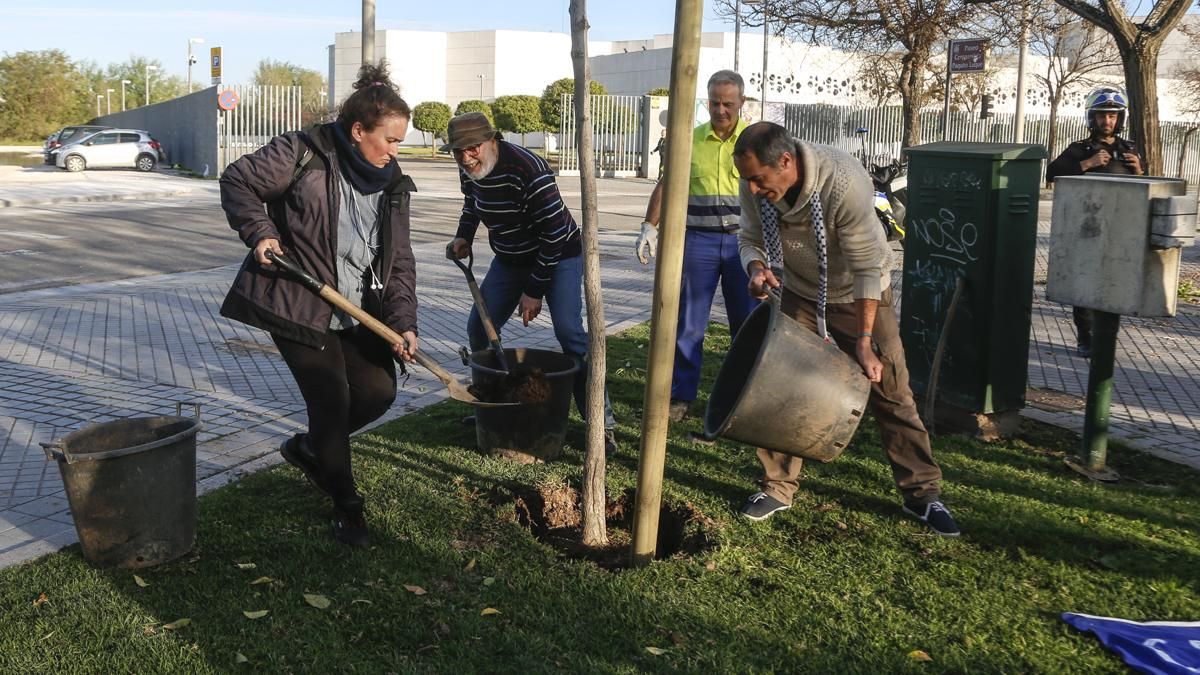 Plantación de un nuevo ginkgo en Miraflores y concentración al cumplirse 15 años del accidente nuclear de Fukushima