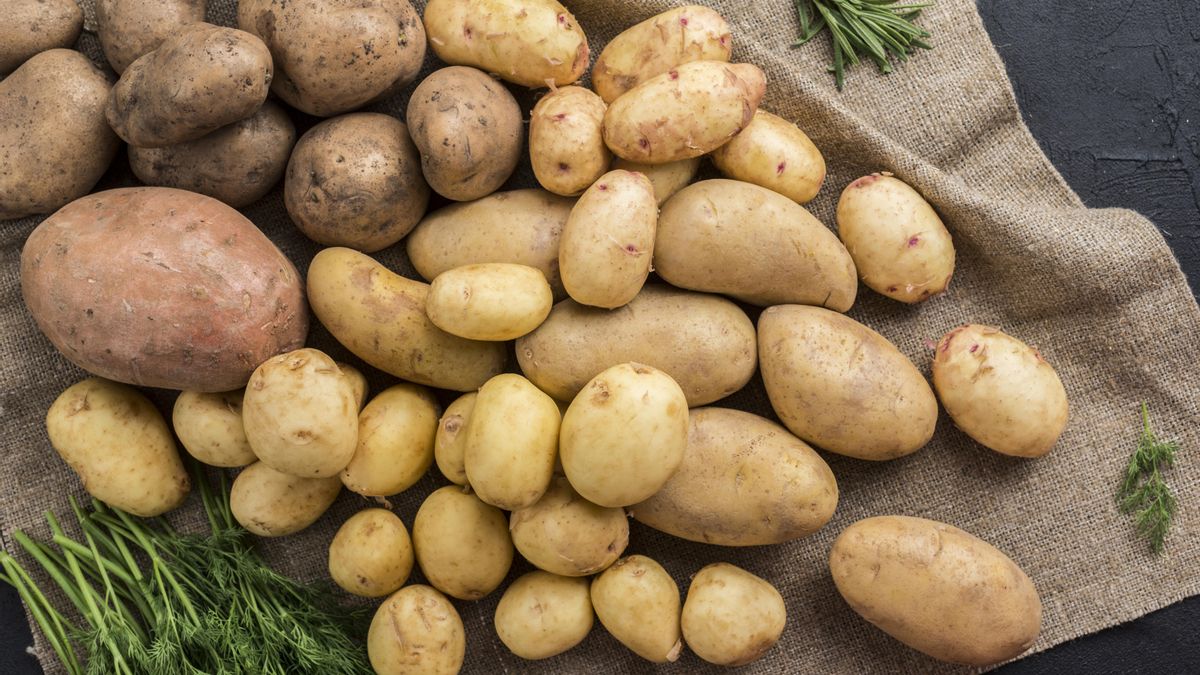 En la composición de la patata cabe destacar el contenido en hidratos de carbono, mayoritariamente en forma de almidón y una pequeña proporción como glucosa, fructosa y sacarosa