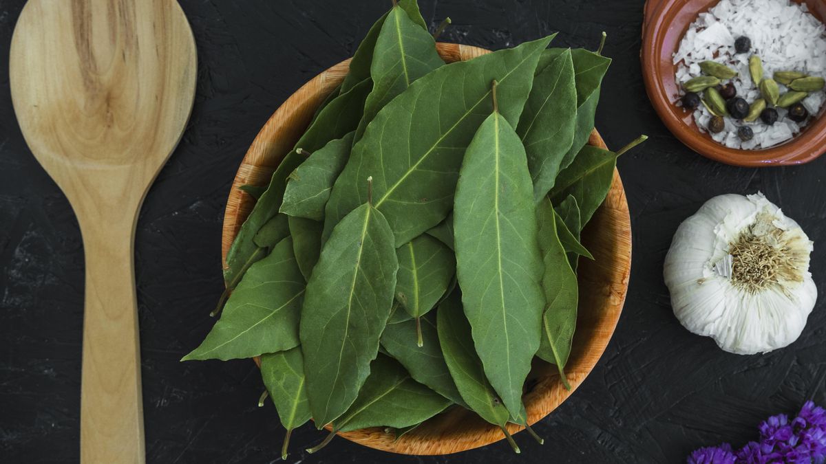 El laurel es una de esas plantas aromáticas que no pueden faltar en guisos, caldos y otros muchos platos de cuchara