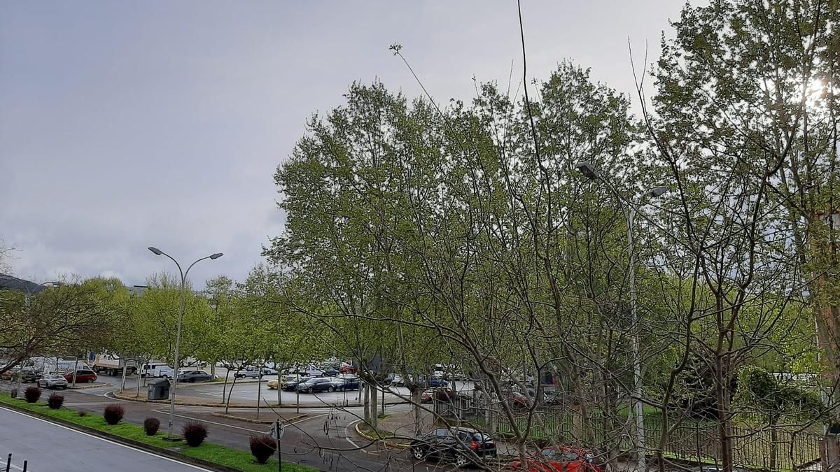 El tiempo en Ponferrada.