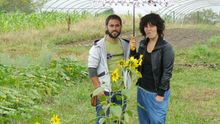 Jon Bereziartua y Alazne Intxauspe junto a su huerta en el baserri de Iparragirre. /G. A.
