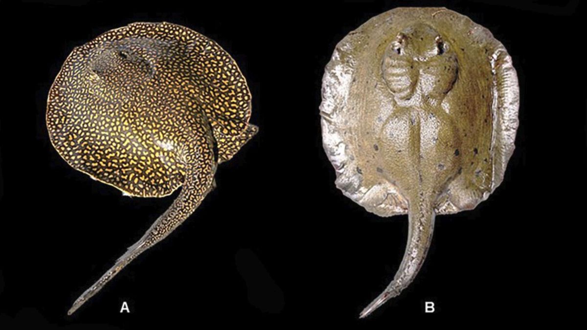 La exploración científica avanza pese a las limitaciones del territorio