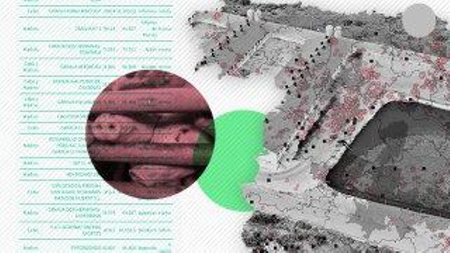 España intensiva: la fábrica industrial de cerdos